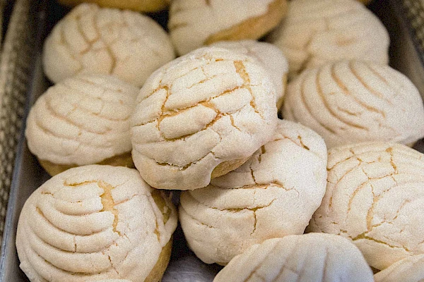Conchas