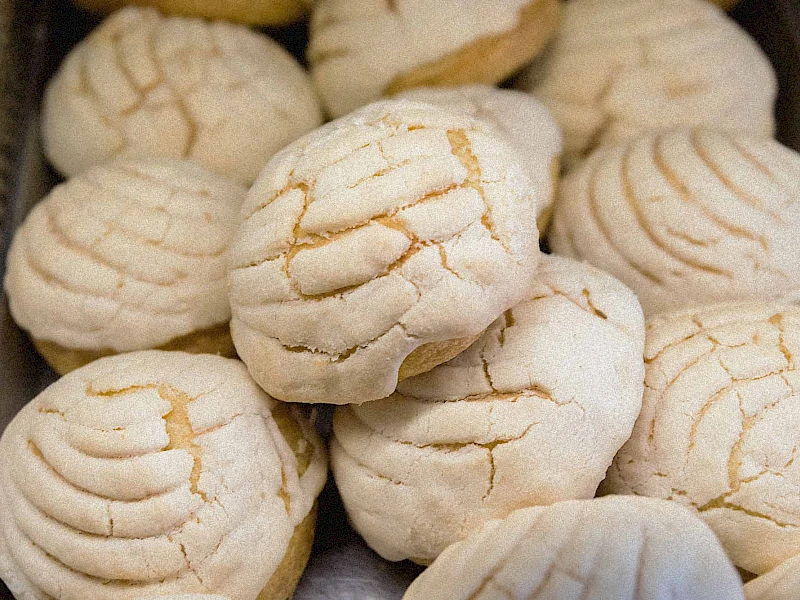 Conchas