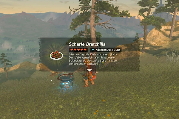 Scharfe Bratchilis