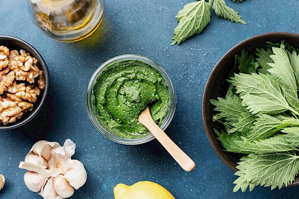 Brennnessel-Pesto