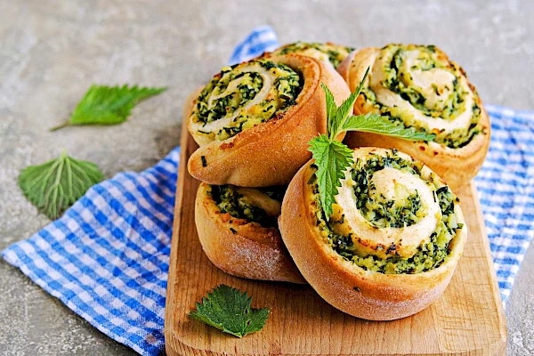 Brennnessel-Schnecken