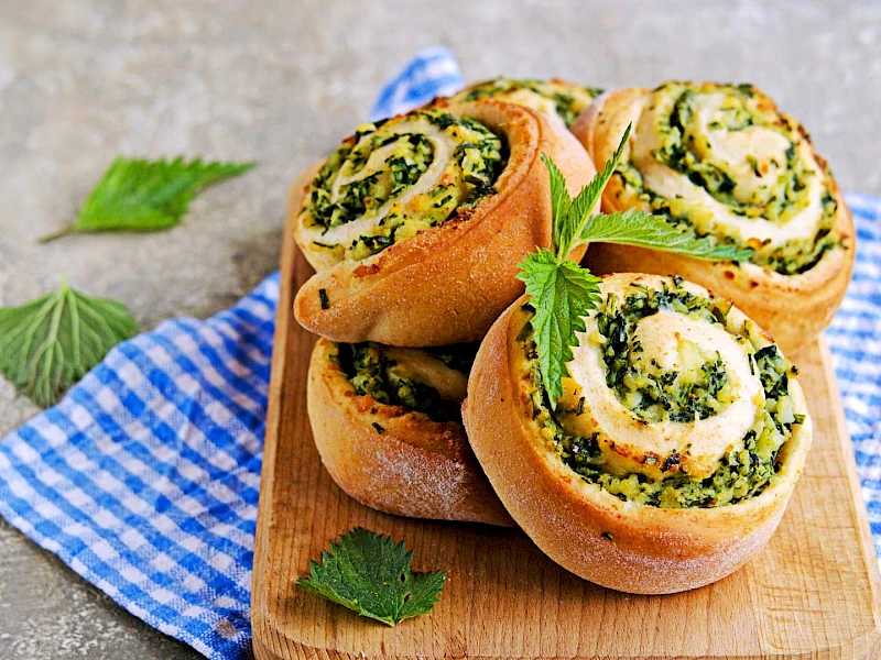 Brennnessel-Schnecken