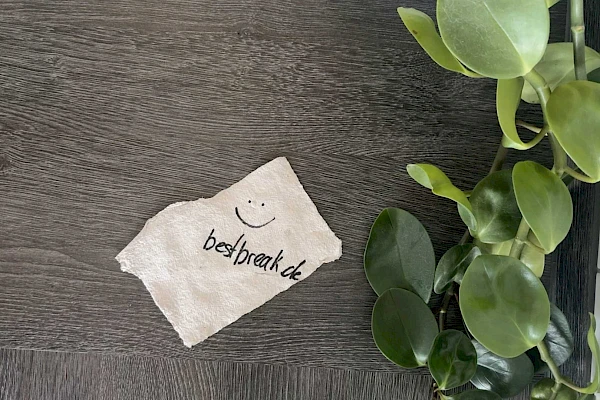 Papierschöpfen selbstgemacht